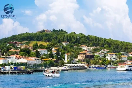 Picturesque view of Princes’ Island in Turkey with red‑tiled houses on a lush hillside, boats docked at the waterfront, and clear blue waters under a bright sky.