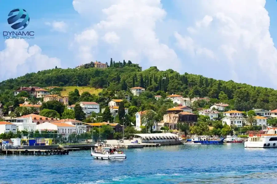 Picturesque view of Princes’ Island in Turkey with red‑tiled houses on a lush hillside, boats docked at the waterfront, and clear blue waters under a bright sky.