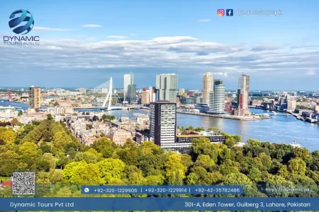 Panoramic view of Rotterdam skyline with Erasmus Bridge, modern skyscrapers, riverfront, and lush greenery under clear blue sky